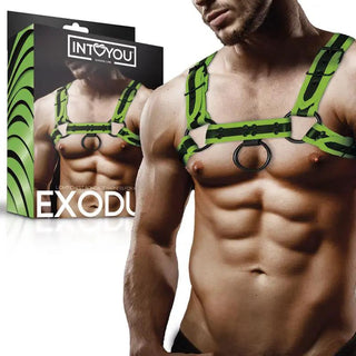 Shining Line Glow Bondage Harness