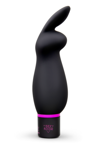 Sex Room Raunchy Vibrationsset