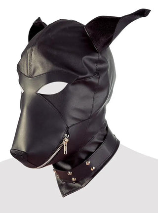 Fetish Collection Hundhuva