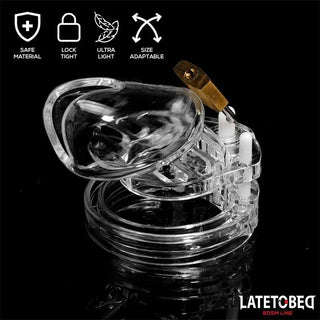 Latetobed Penisburen Transparent