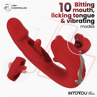 IntoYou Mouty Appstyrd Vibrator