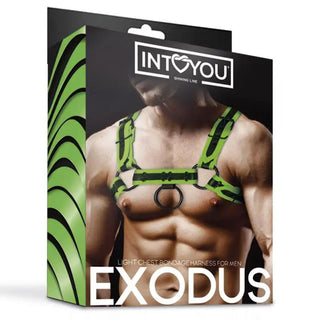 Shining Line Glow Bondage Harness