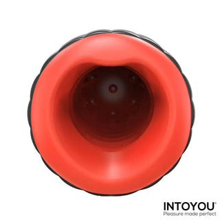 Intoyou Karter Masturbator