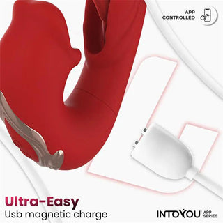 IntoYou Mouty Appstyrd Vibrator