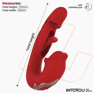 IntoYou Mouty Appstyrd Vibrator