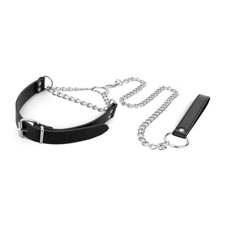 Bedroom Fantasies Silver Koppelhalsband