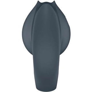 Satisfyer Perfect Pair 2 Vibrator